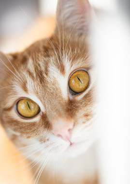 zrzut ekranu 2025 09 15 161555